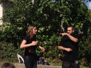 IMG 5613